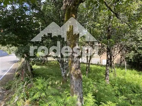 Rural land for sale in Lamela, imagen 3