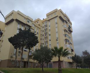 Exterior view of Planta baja for sale in San Roque