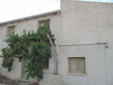 Casa rustica in vendita a Monóvar  / Monòver
