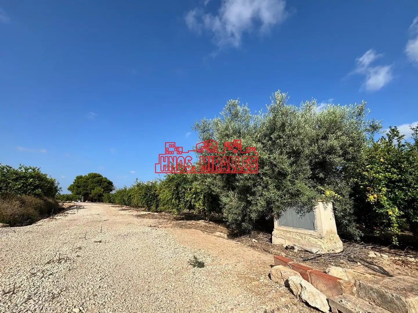 Rural land for sale in Las Bayas, imagen 2