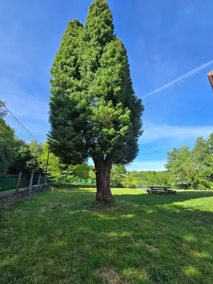 Jardín de Casa o chalet en venta en Cerdedo con Calefacción, Jardín privado y Terraza