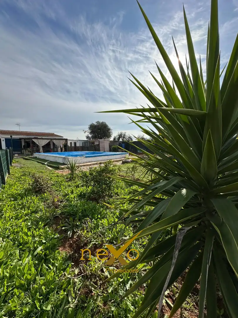 Chalet con piscina en venta en Carmona, imagen 5