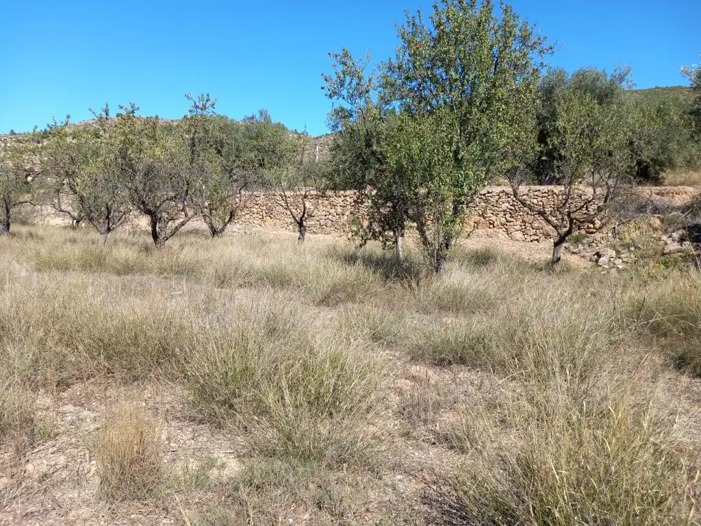 Terreno en venta en Tuéjar