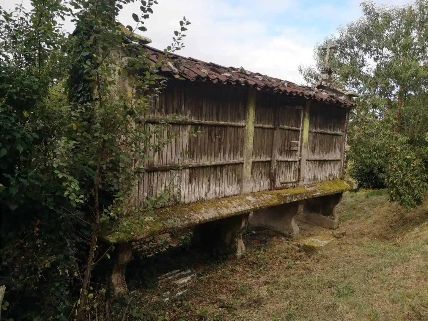 Vista exterior de Finca rústica en venda en Vila de Cruces
