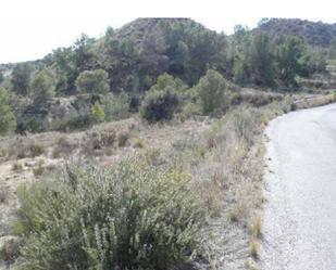 Land for sale in Molina de Segura