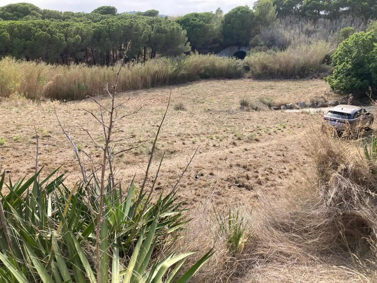 Terreno en venta en Pineda de Mar