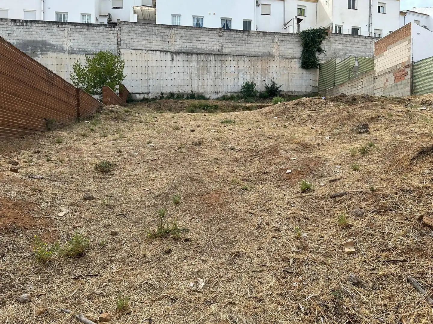 Lands and plots for sale in Fuentemora, imagen 4