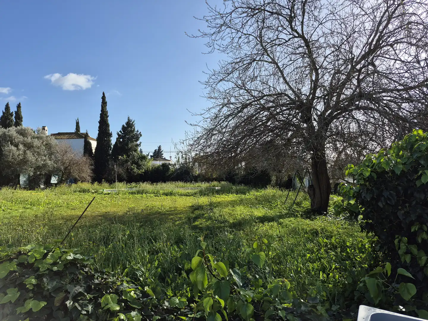 Casa o chalet en venta en Conil de la Frontera con Piscina