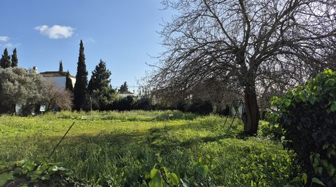 Foto 4 de Casa o chalet en venta en Roche, Conil de la Frontera