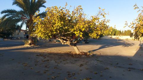 Foto 5 de Casa o xalet en venda a El Travaló - Martínez Valero, Elche / Elx