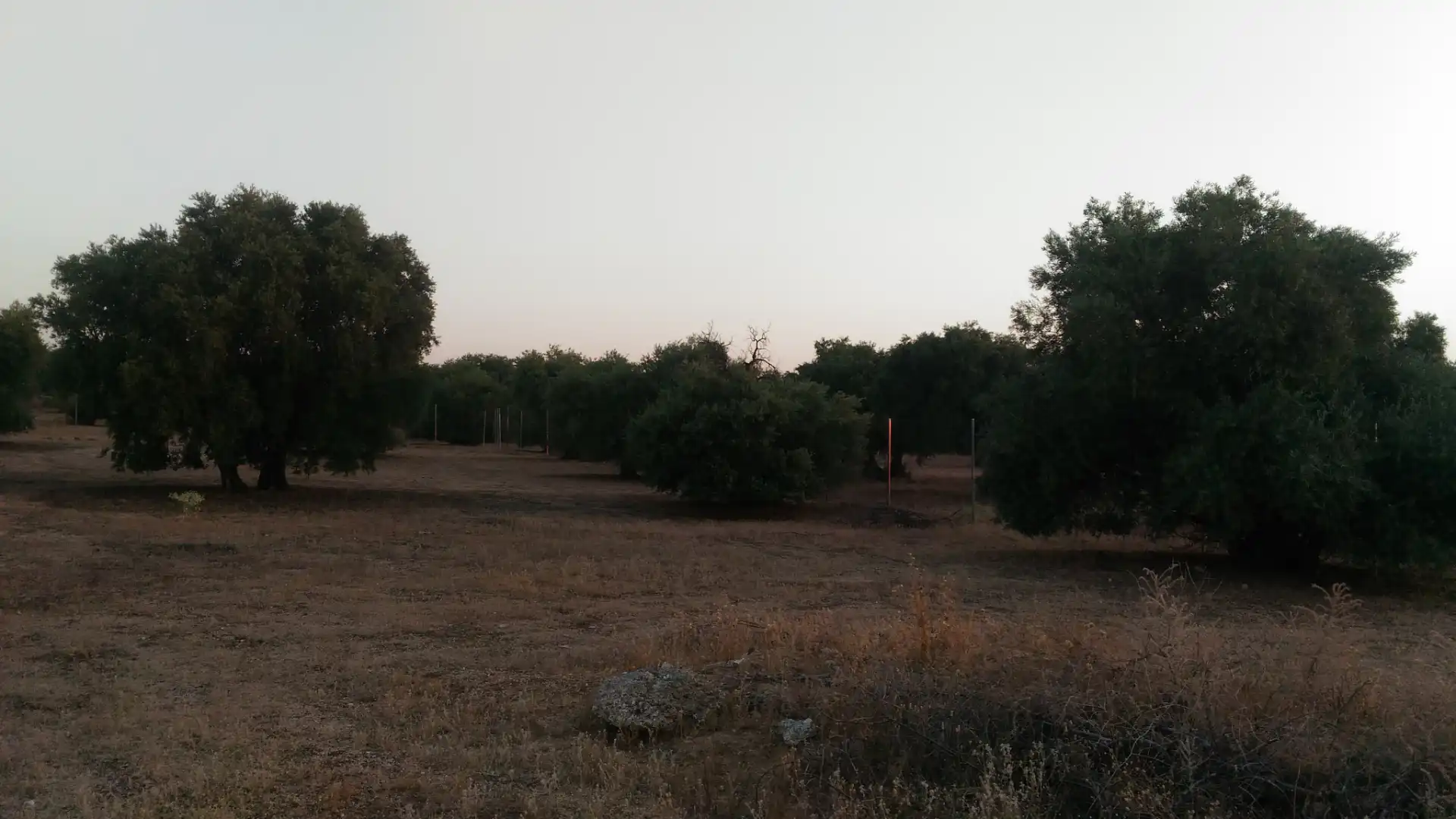 Terreno residencial en venta en Calle Rosalia de Castro 5D, imagen 7