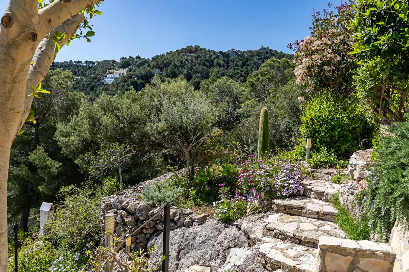 Jardí de Casa o xalet en venda en Capdepera amb Aire condicionat, Jardí privat i Terrassa