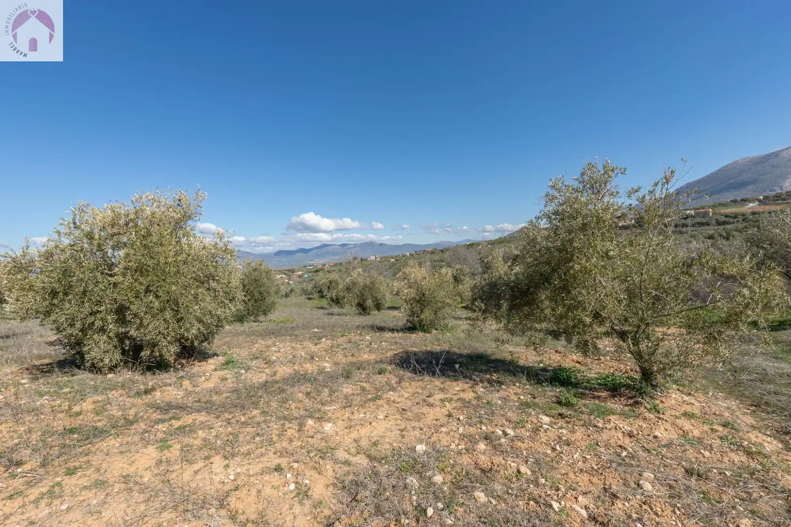 Terreni e lotti in vendita a Cogollos de la Vega, imagen 15