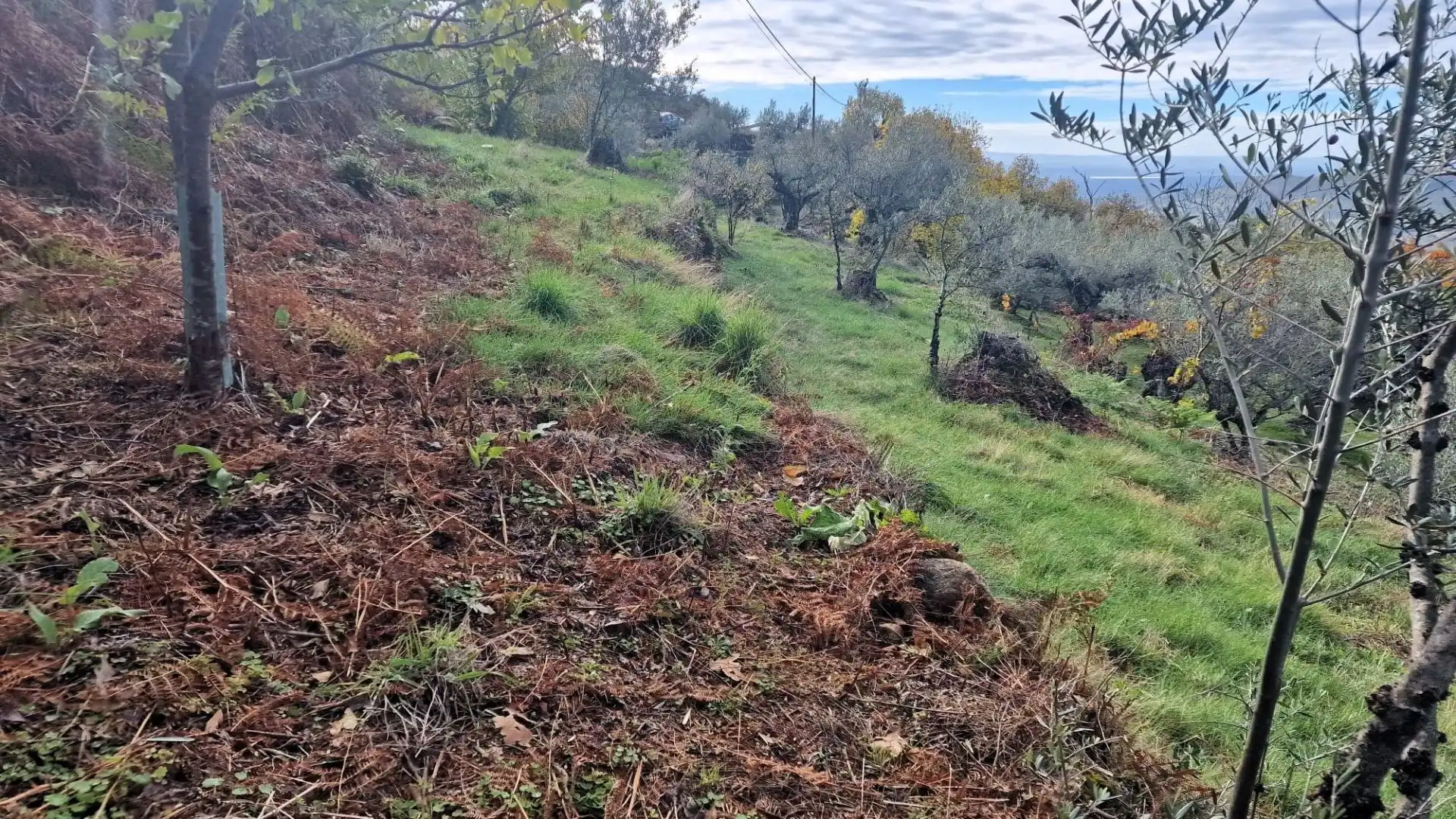 Terreno en venta en Guijo de Santa Bárbara