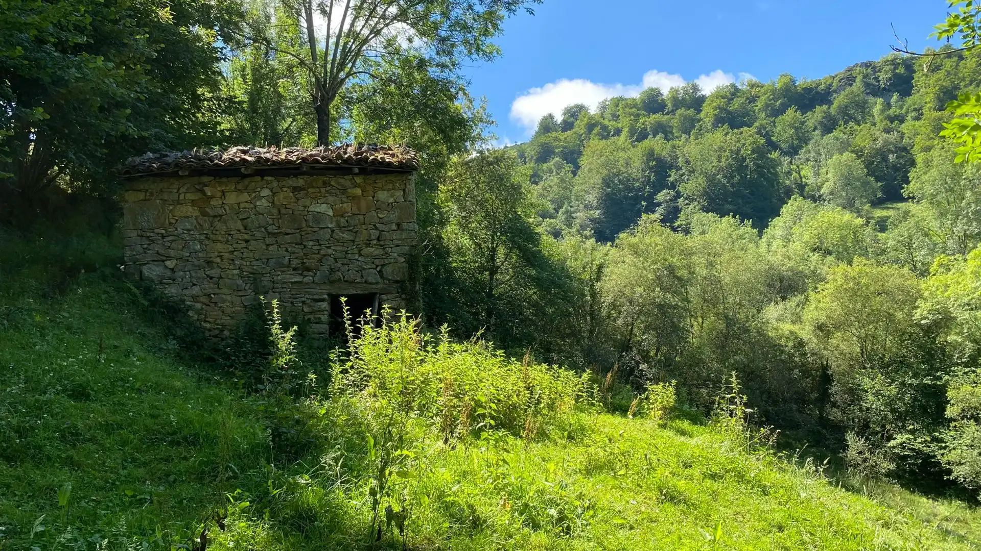 Terreno en venta en PRIESCA, Ponga