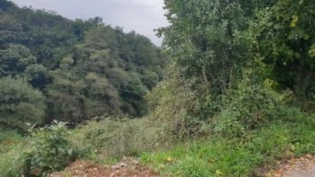 Terreno rustico in vendita a Lugar Carrionina, imagen 5