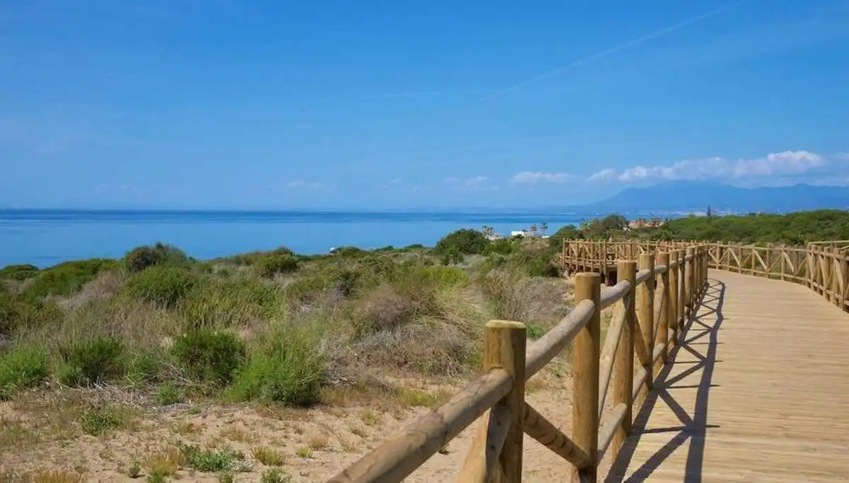 Vista exterior de Casa o xalet en venda en Marbella amb Aire condicionat, Jardí privat i Terrassa