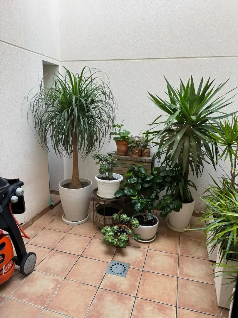Terraced house with terrace for sale in Calle de la Mar Rizada, imagen 11