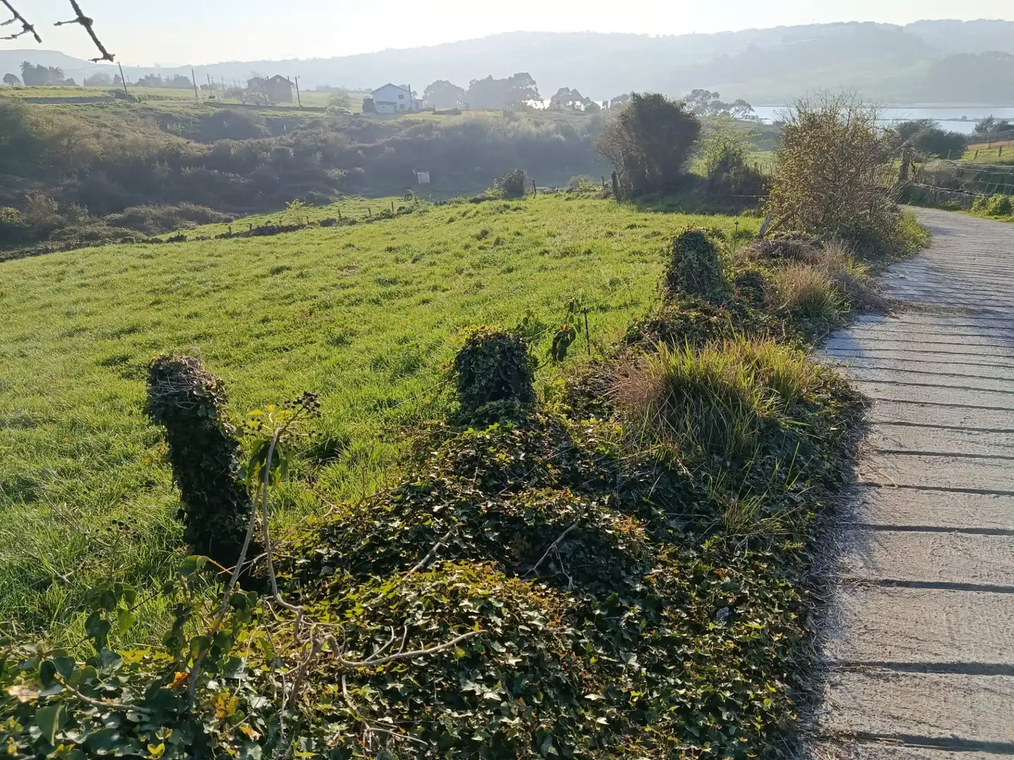 Grundstücke zum Verkauf in Miengo