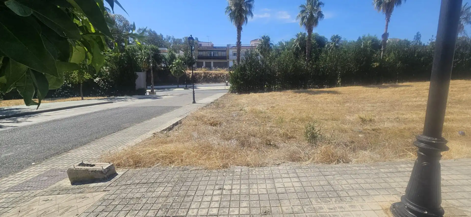 Lands and plots for sale in Guillena pueblo, imagen 2