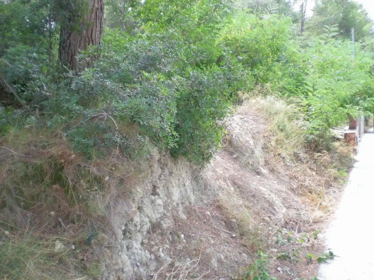 Terrenos y solares en venta en Castellgalí