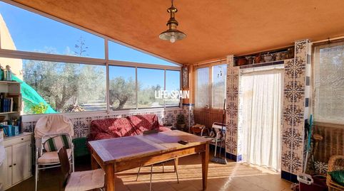 Finca con pozo proprio y luz solar a cerca de L'Ampolla, immagine 4