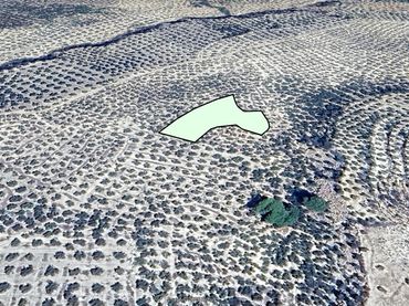 Terreny rústic en venda a Llano del Cambrón