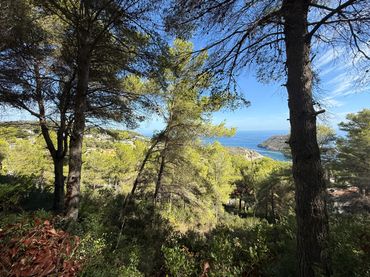 Terreno residencial en venta en Cap Martí - El Tossalet - Pinomar