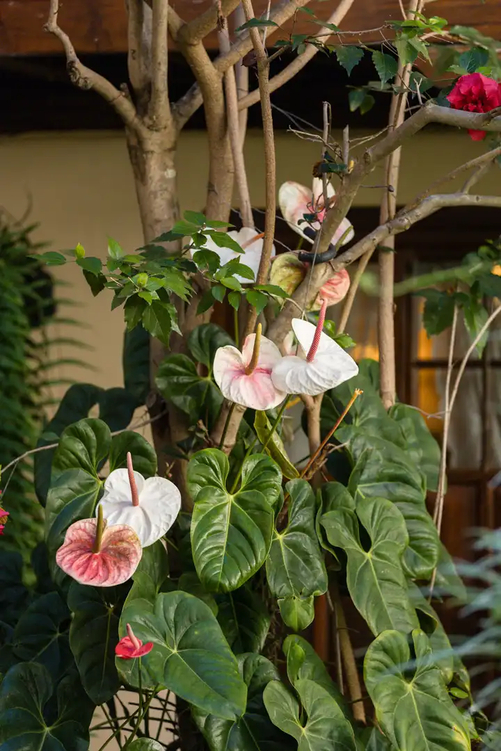 Jardín de Casa o chalet en venta en Icod de los Vinos con Calefacción, Jardín privado y Parquet