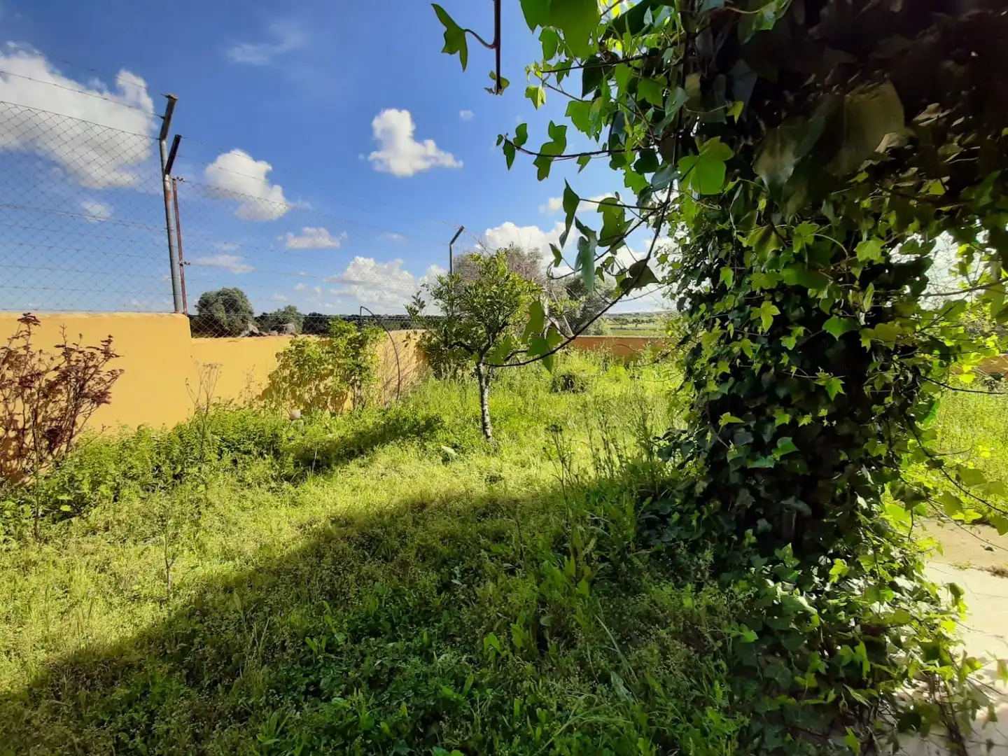 Houses for sale in Ceclavín  with Air Conditioner, Heating and Private garden