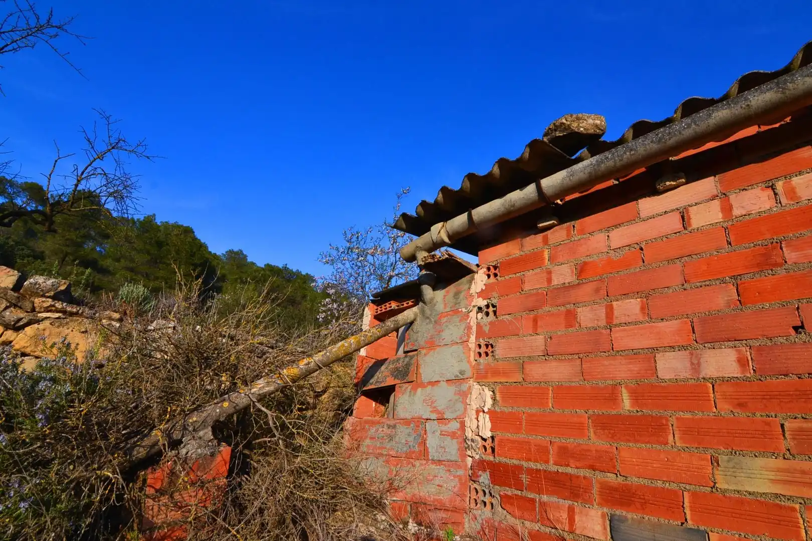 Rural land for sale in Corbera d'Ebre, imagen 23