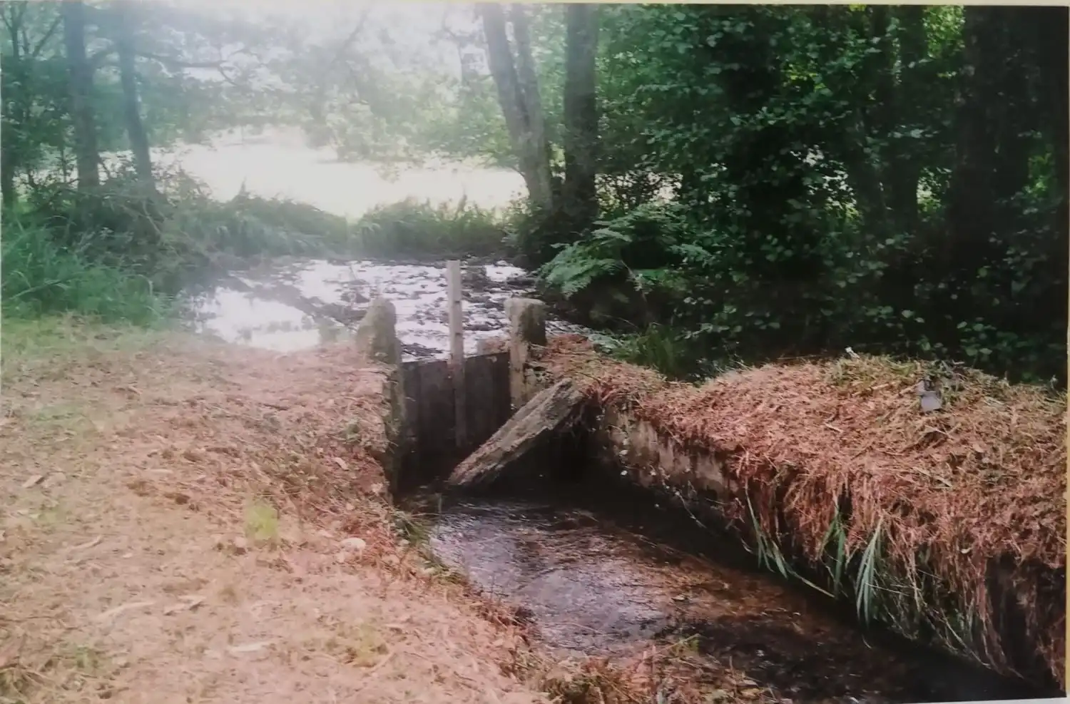 Vista exterior de Finca rústica en venda en Ortigueira amb Jardí privat