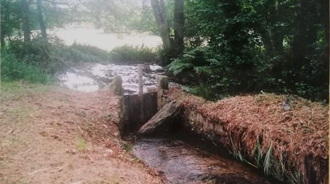 Foto 4 de Finca rústica en venda a Lugar Clara, 57, Ortigueira, A Coruña