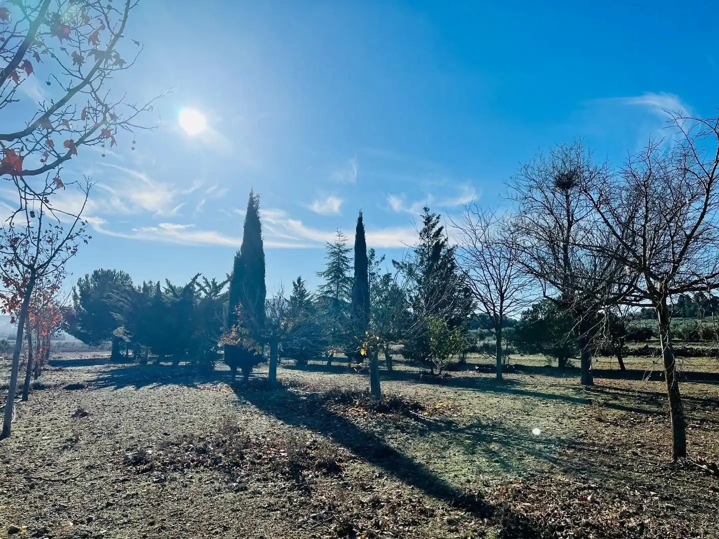 Terreny residencial en venda a Cañada, imagen 16