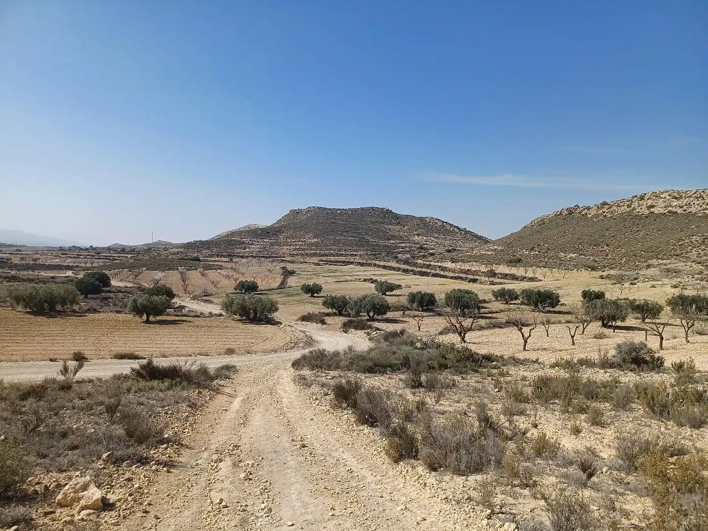 Terreno residencial en venta en El Pinós / Pinoso, imagen 4