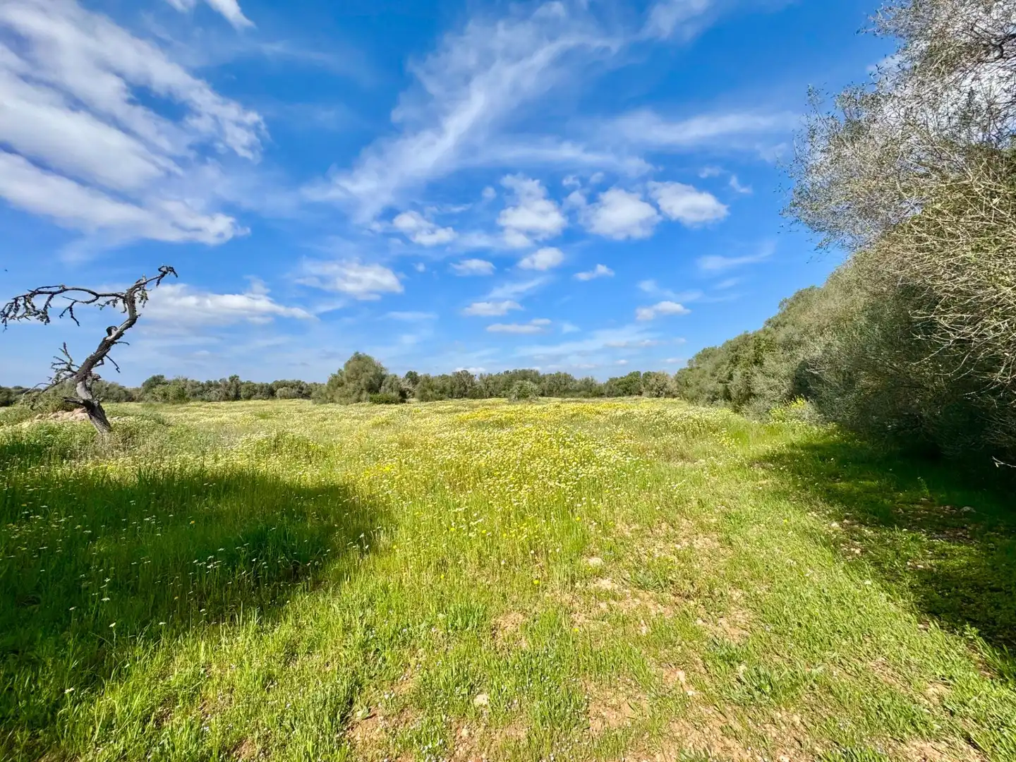 Residential land for sale in parcela 27 del polígono 22. Campos, imagen 4