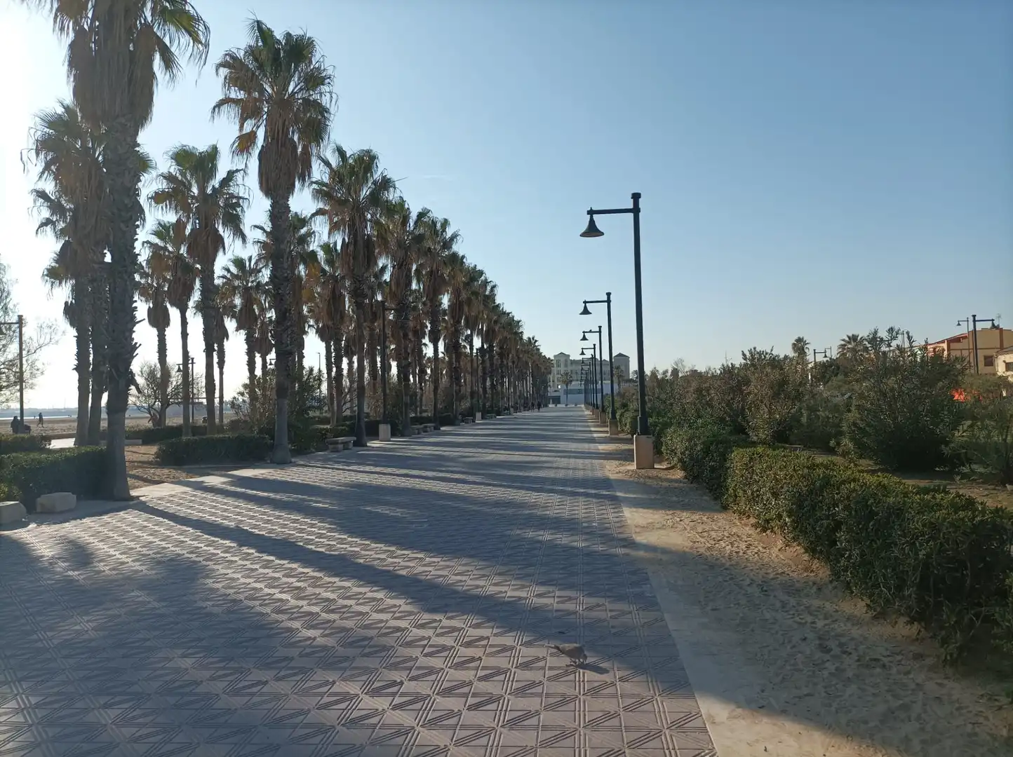 Vista exterior de Residencial en venta en Valencia
