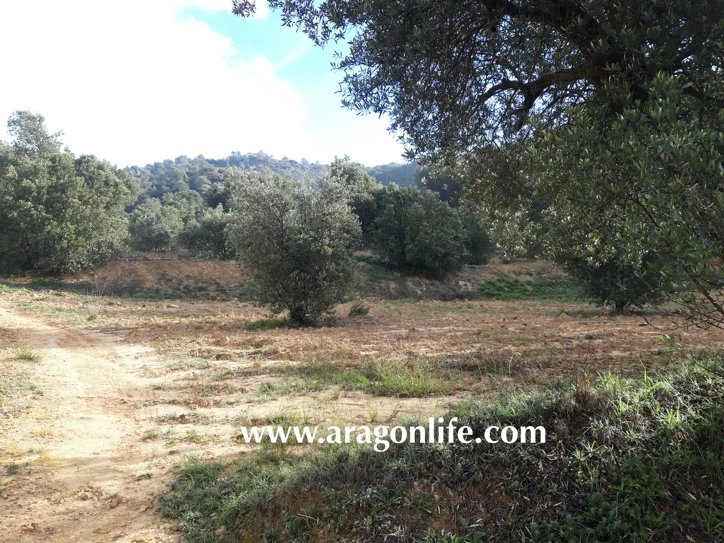 Finca rústica en venta en Batea