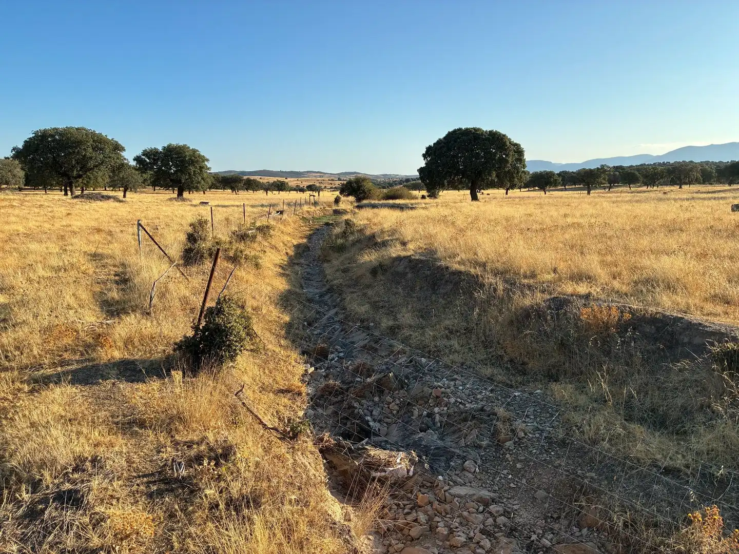 Rural land for sale in Mohedas de la Jara, imagen 10