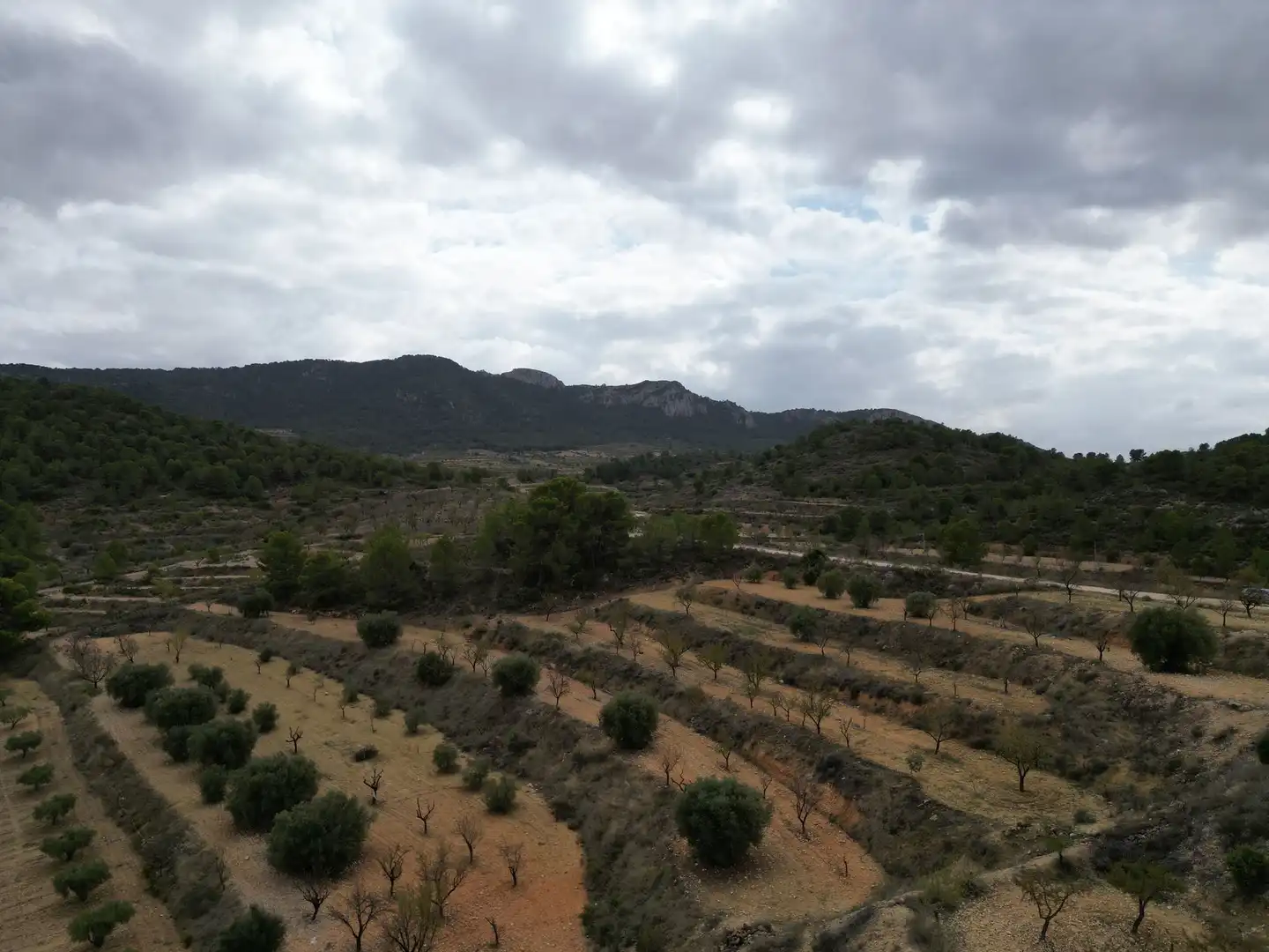 Terreny residencial en venda a Jumilla
