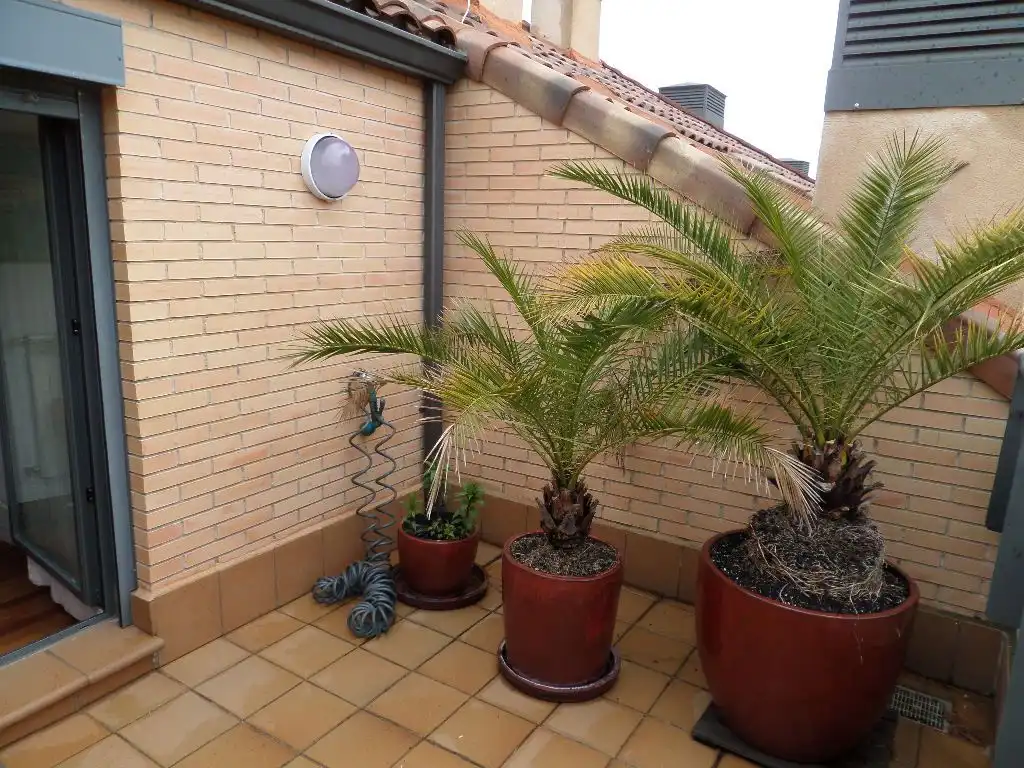 Terrace of Duplexes for rent in San Agustín del Guadalix  with Heating, Terrace and Storage room