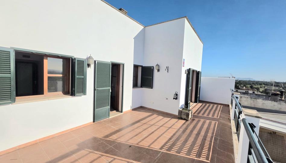 Photo 1 of Attic to rent in Carrer de Gastó de Montcada, Consell, Illes Balears