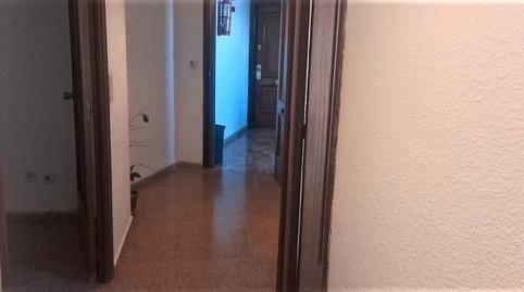 Foto 3 de Pis de lloguer a Avinguda de la Llibertat, 23, Pont Nou - Corazón de Jesús, Alicante