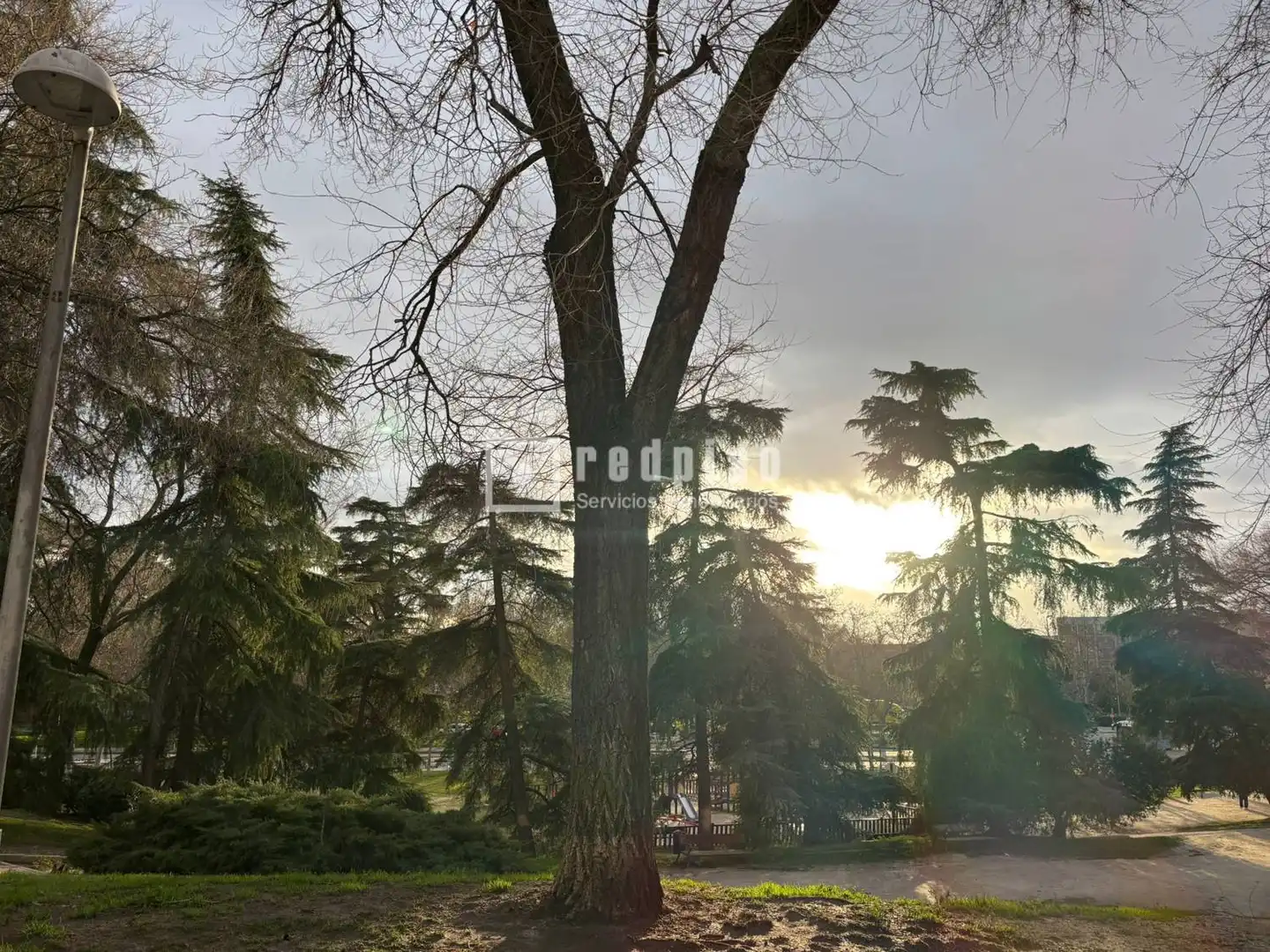 Jardín de Piso en venta en Madrid con Calefacción, Terraza y Trastero