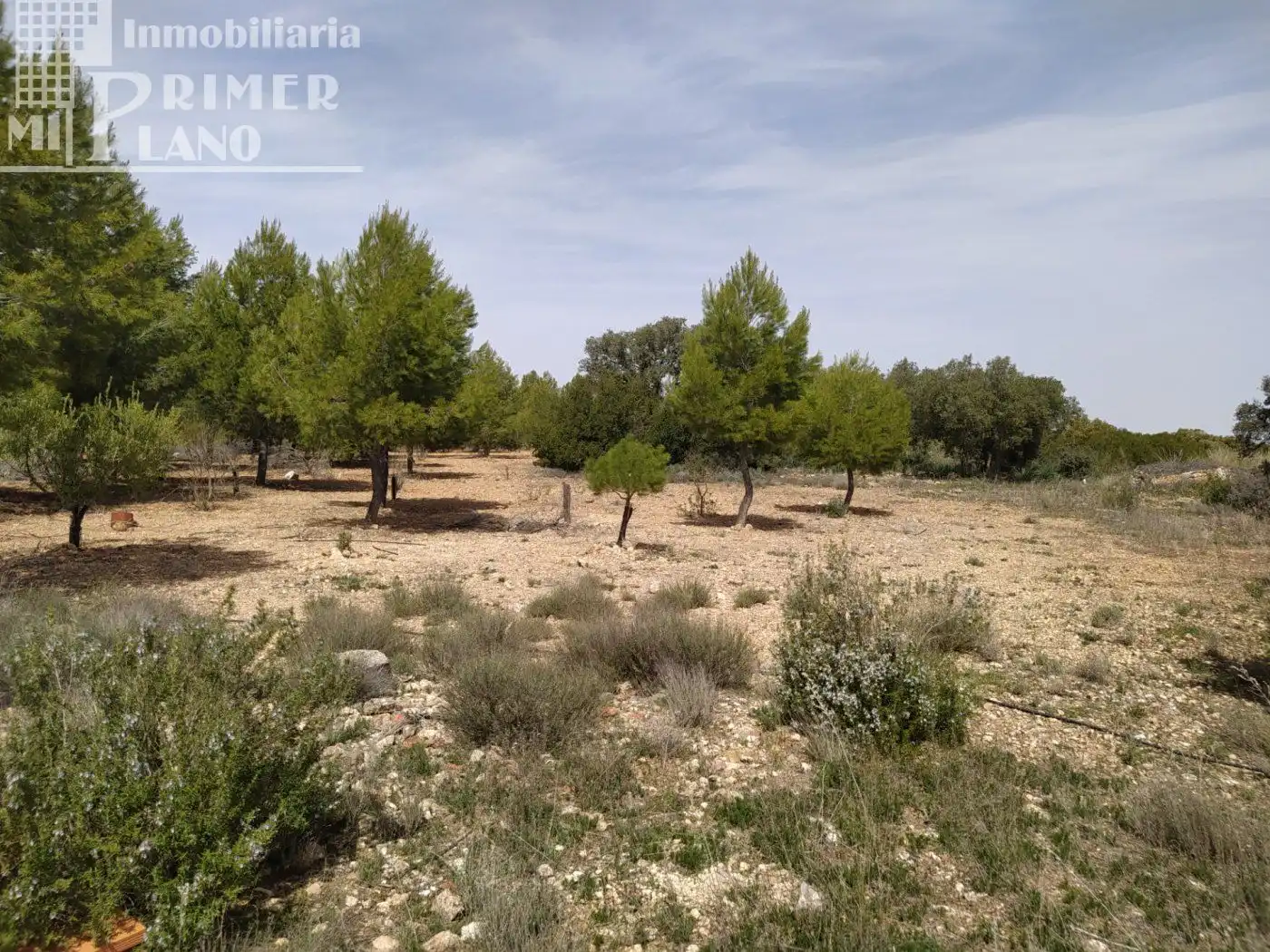 Finca rústica en venta en Socuéllamos
