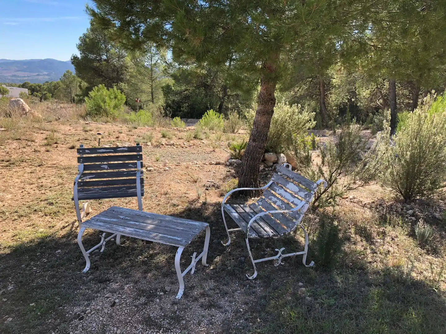 Terreno rústico en venta en Carretera de la Parroquia 19, imagen 3