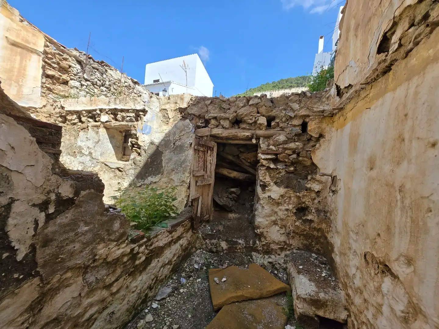 Finca rústica en venta en Alcaucín