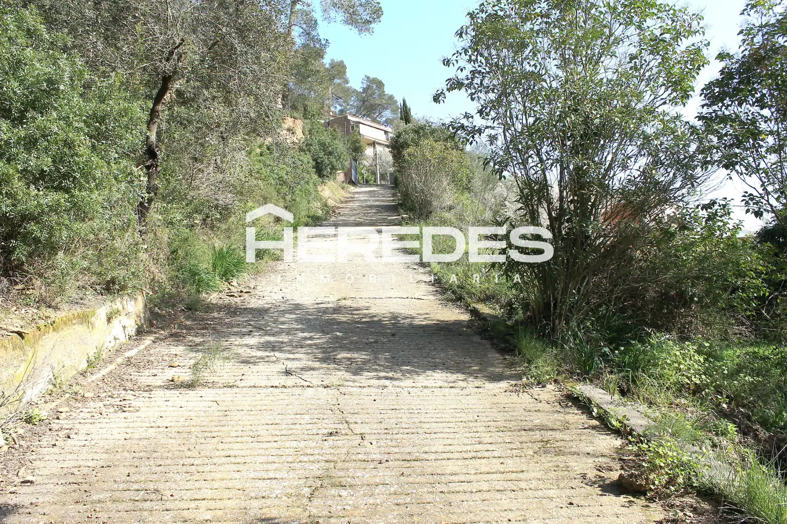 Casa con jardín en venta en Torrelles de Llobregat, imagen 5