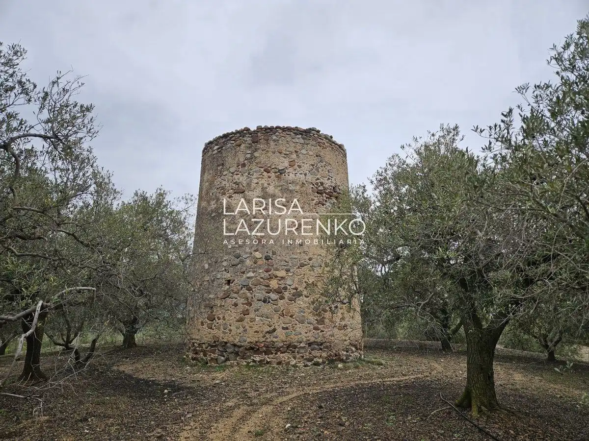 Finca rústica en venda en Riudoms