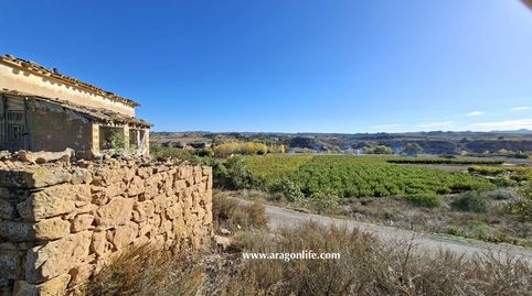 Foto 3 de Finca rústica en venta en Avenida Maella, Caspe, Zaragoza